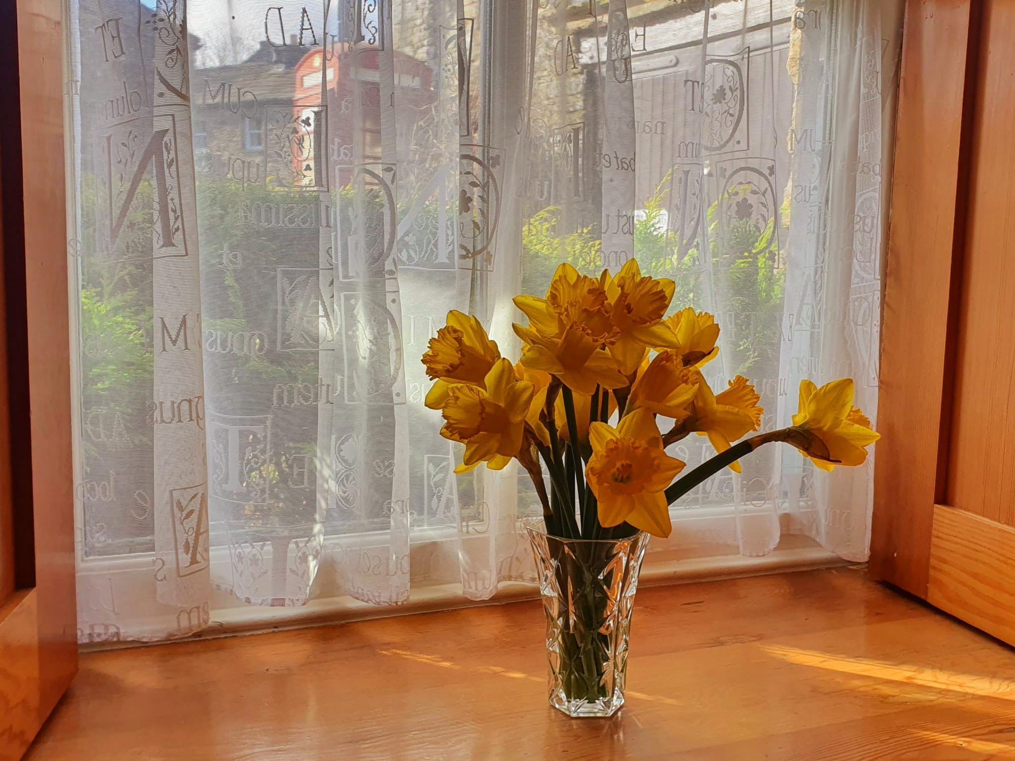 WhatsApp Image 2025 03 25 at 19.36.40 (2)