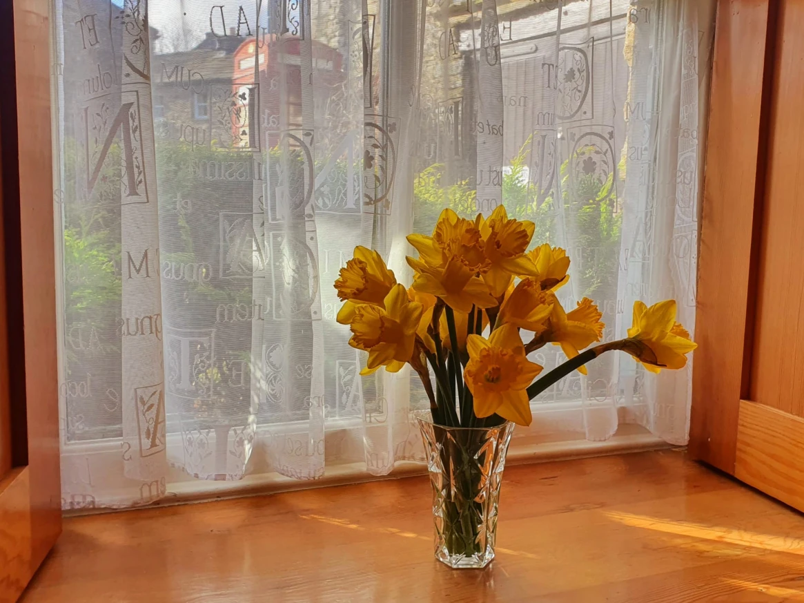 WhatsApp Image 2025 03 25 at 19.36.40 (2)