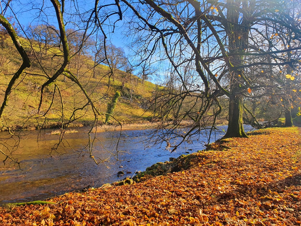 This weekends walk 20 pic 2