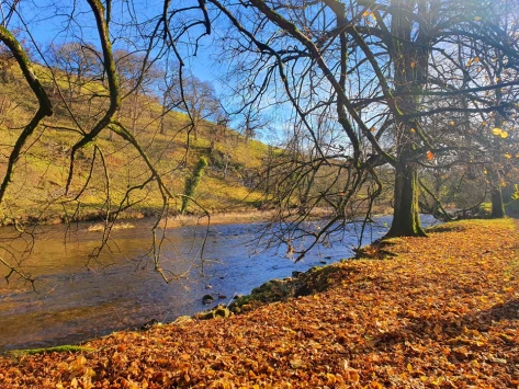 This weekends walk 20 pic 2