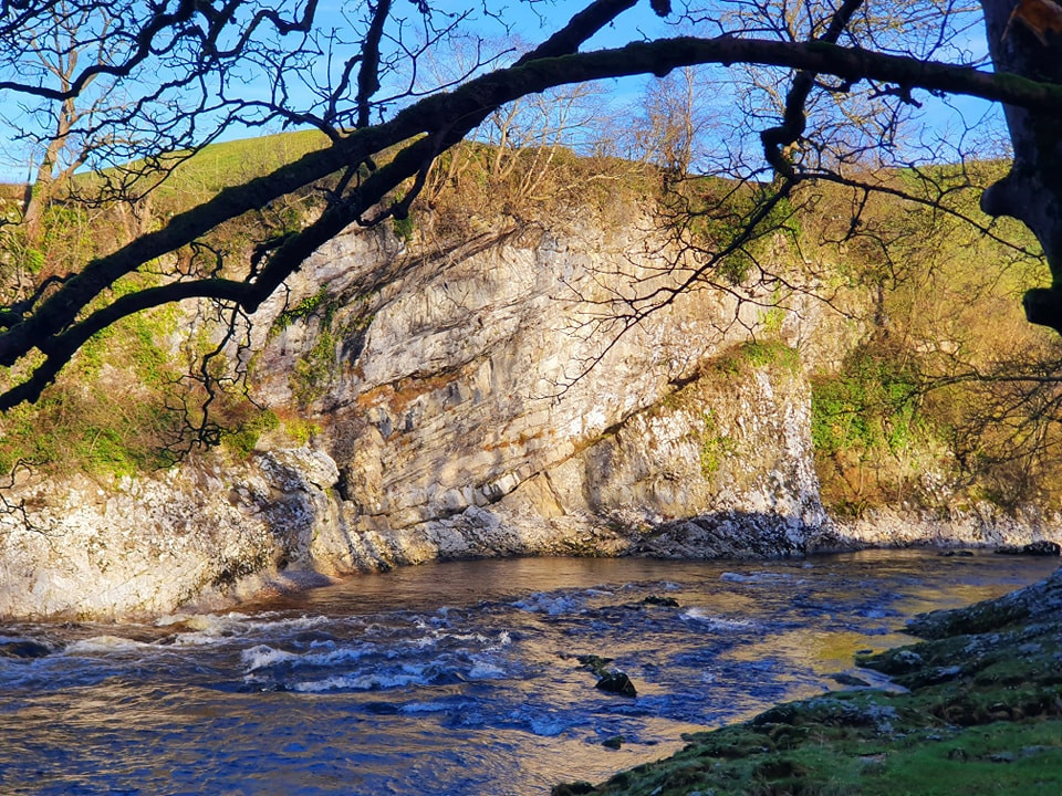 This weekends walk 20 pic 4