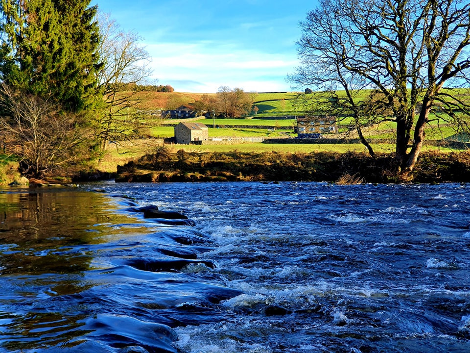 This weekends walk 20 pic 6