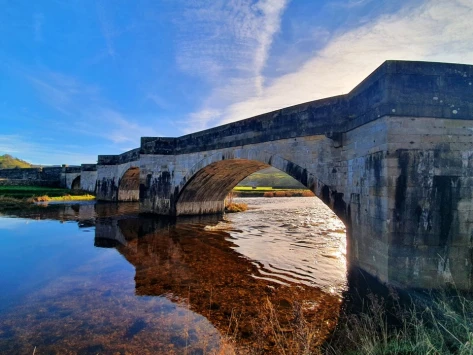 This weekends walk 20 pic 7