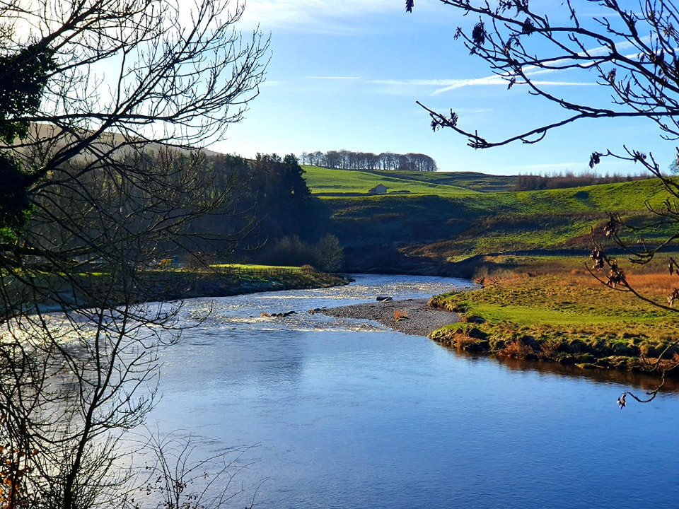 This weekends walk 20 pic 8