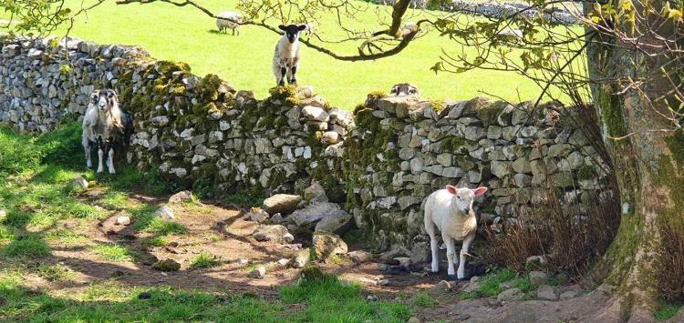 This weekends walk 4 pic 1