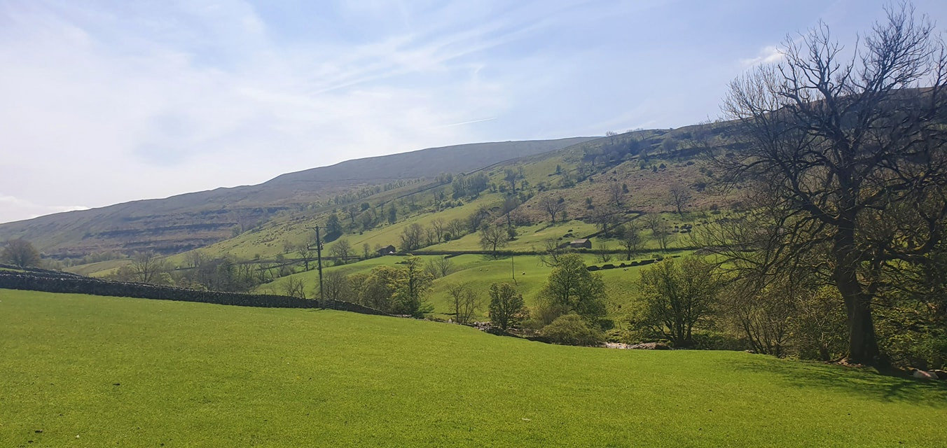 This weekends walk 4 pic 10