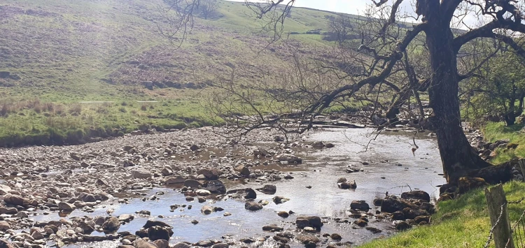 This weekends walk 4 pic 11