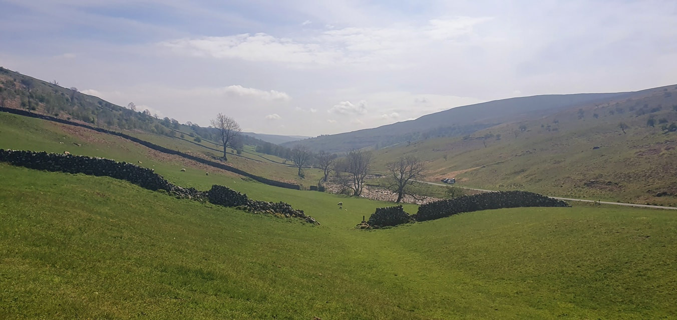 This weekends walk 4 pic 12