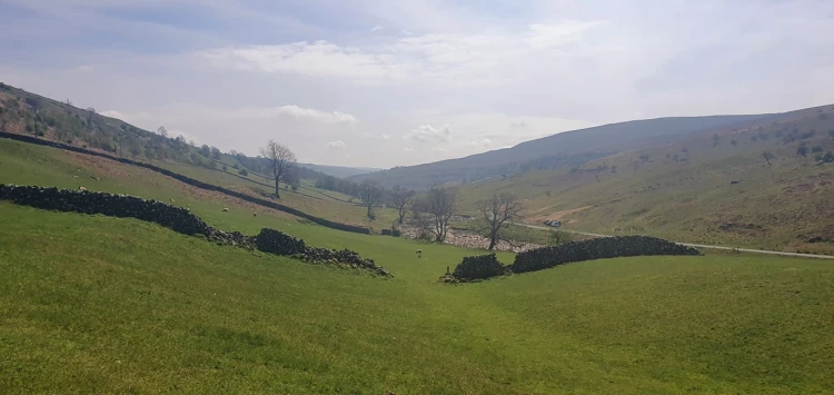 This weekends walk 4 pic 12