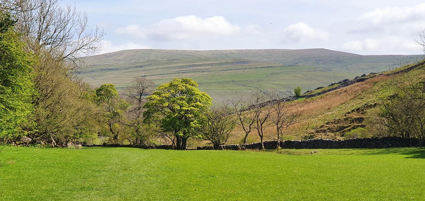 This weekends walk 4 pic 2