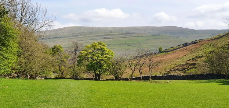 This weekends walk 4 pic 2