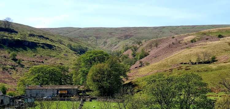 This weekends walk 4 pic 3