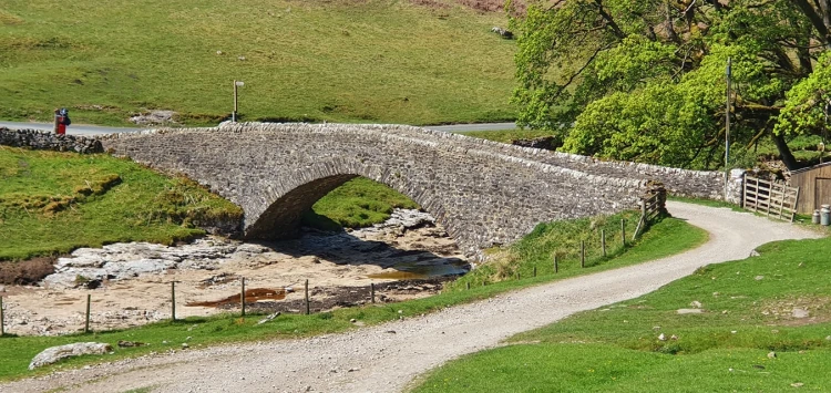 This weekends walk 4 pic 7