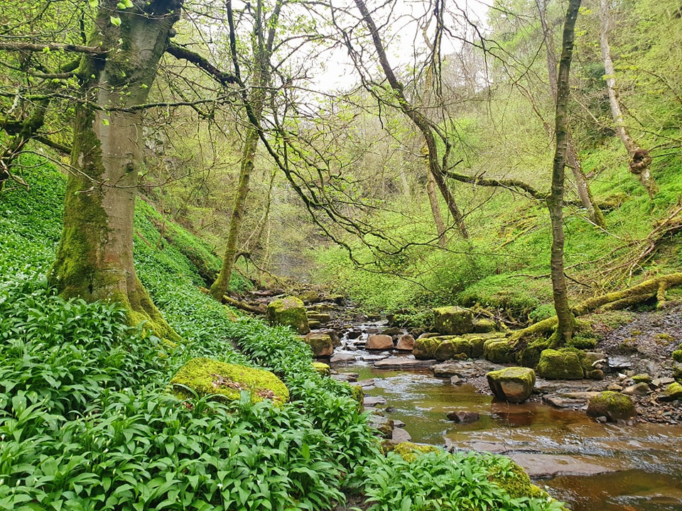 This weekends walk number 22 pic 1