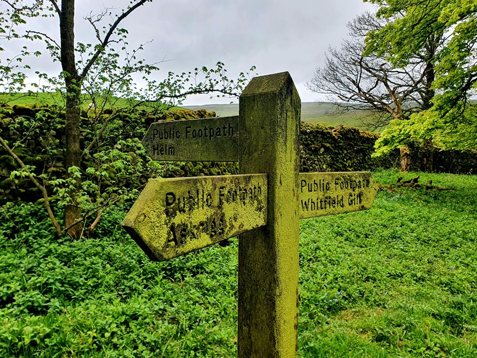 This weekends walk number 22 pic 7