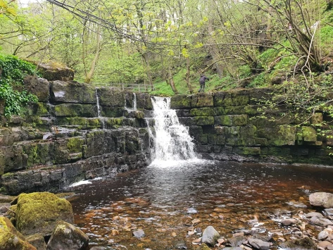 This weekends walk number 22 pic 8