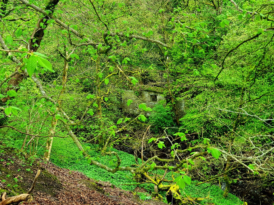 This weekends walk number 22 pic 9