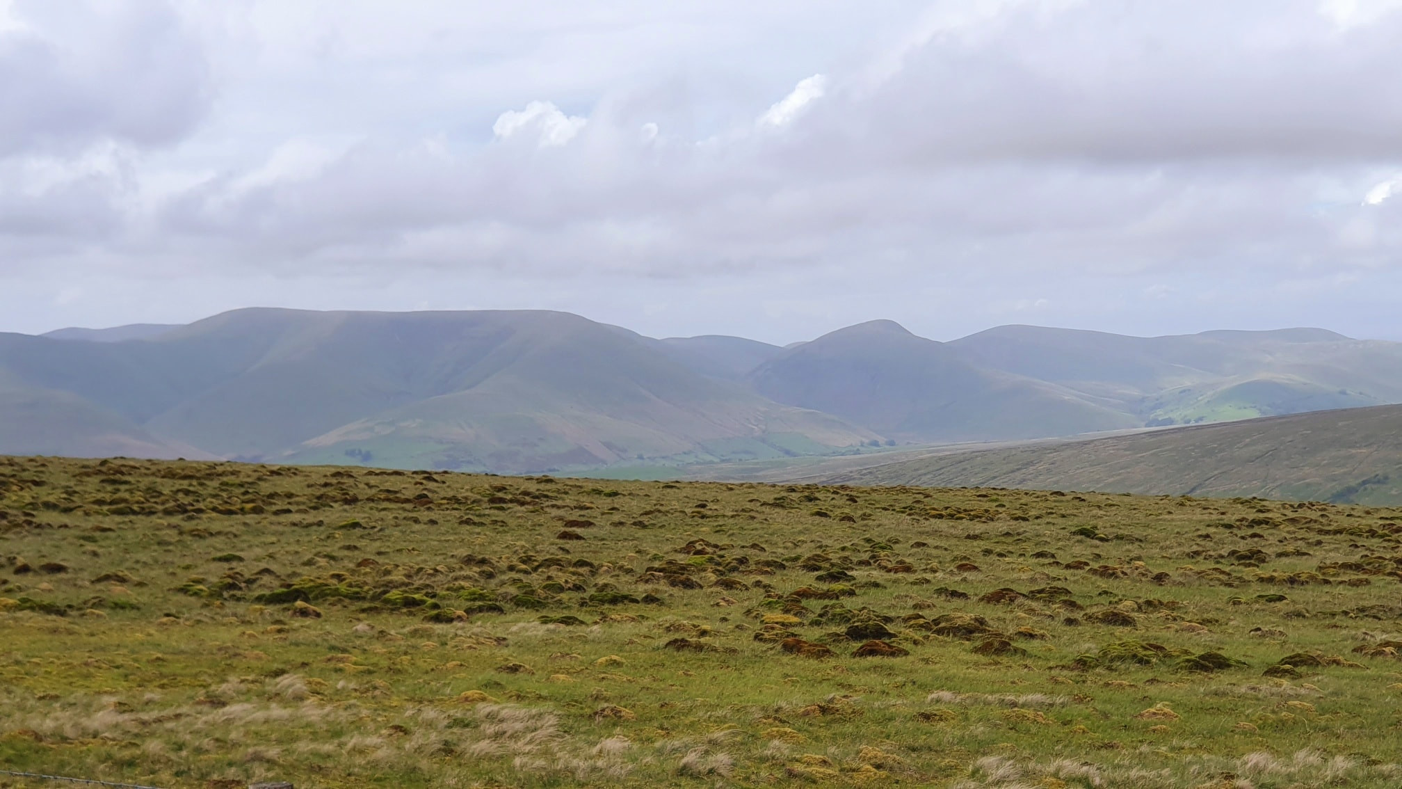 This weekends walk 6 pic 10