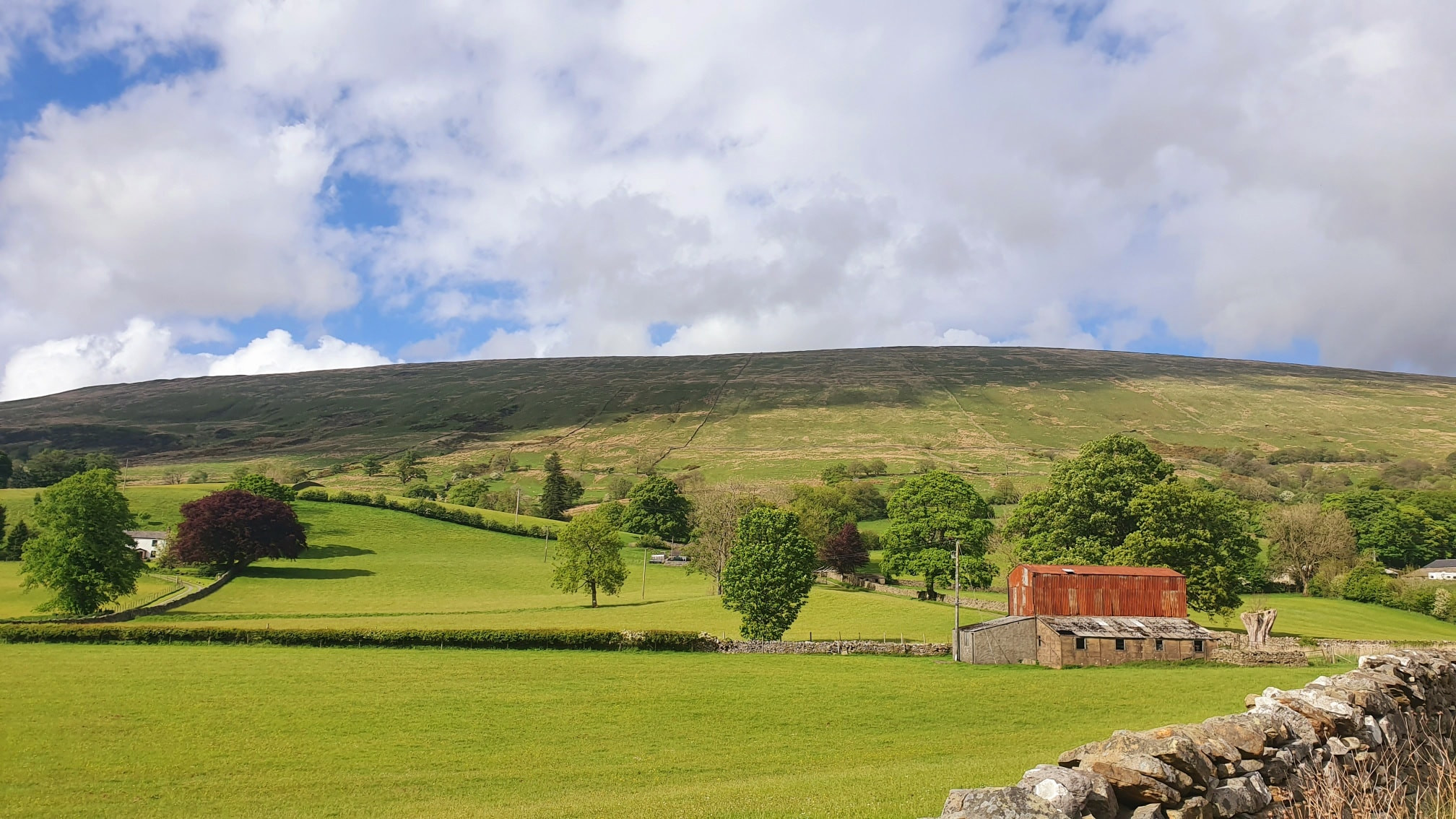 This weekends walk 6 pic 11