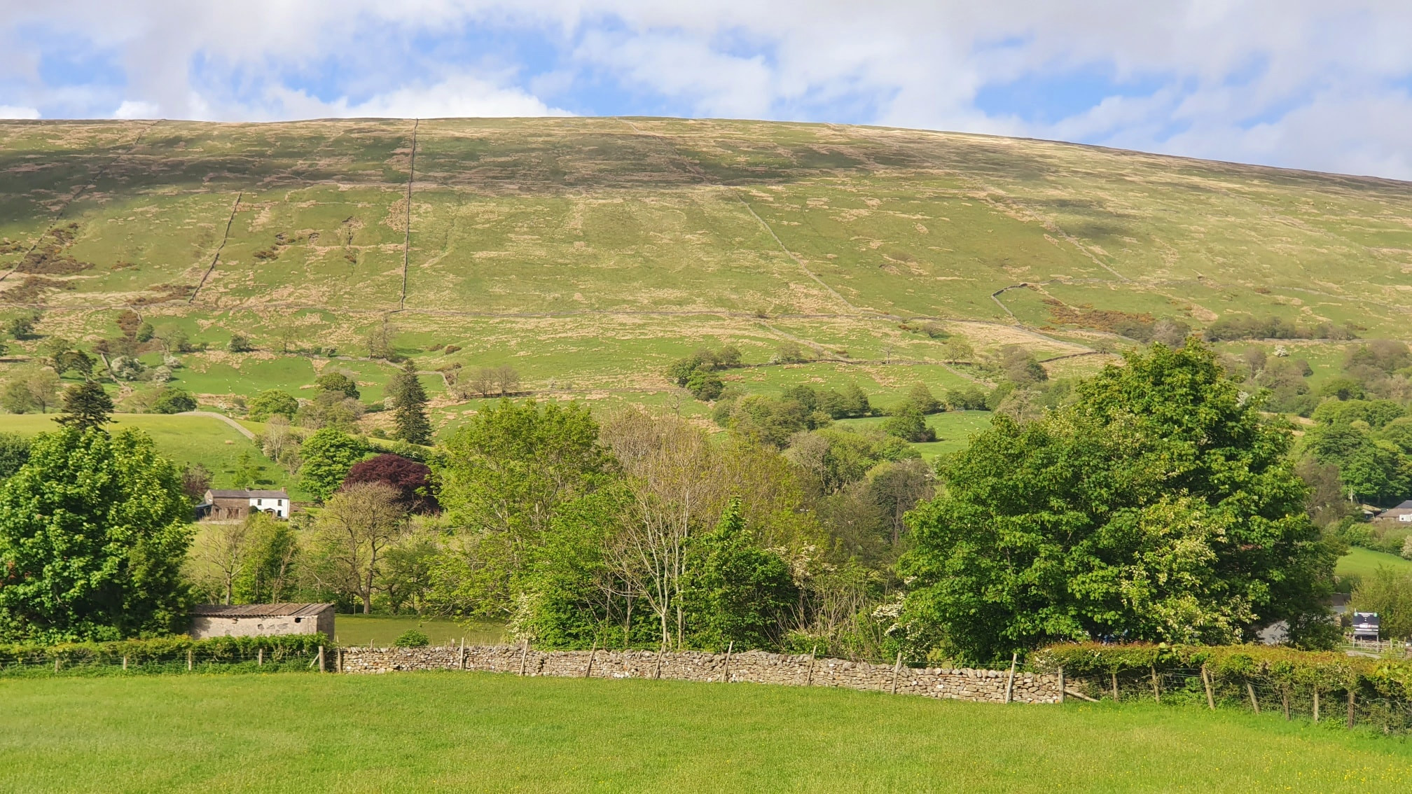 This weekends walk 6 pic 2