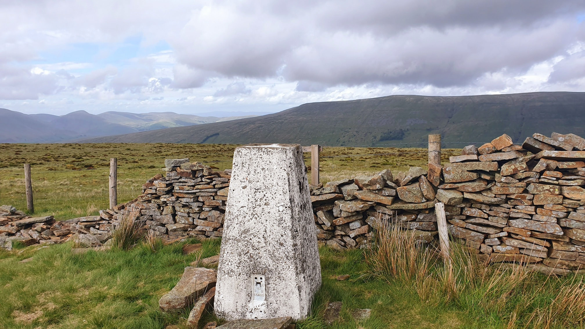 This weekends walk 6 pic 4