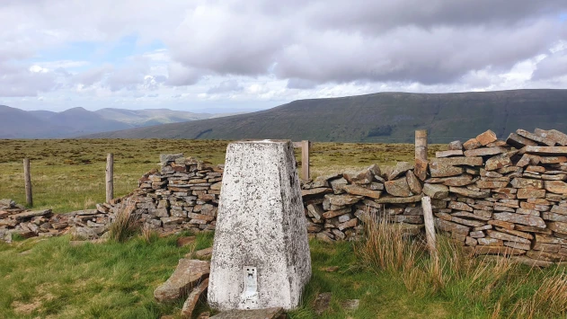 This weekends walk 6 pic 4