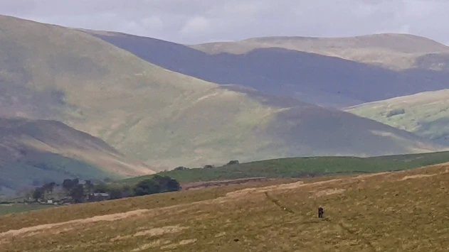 This weekends walk 6 pic 5