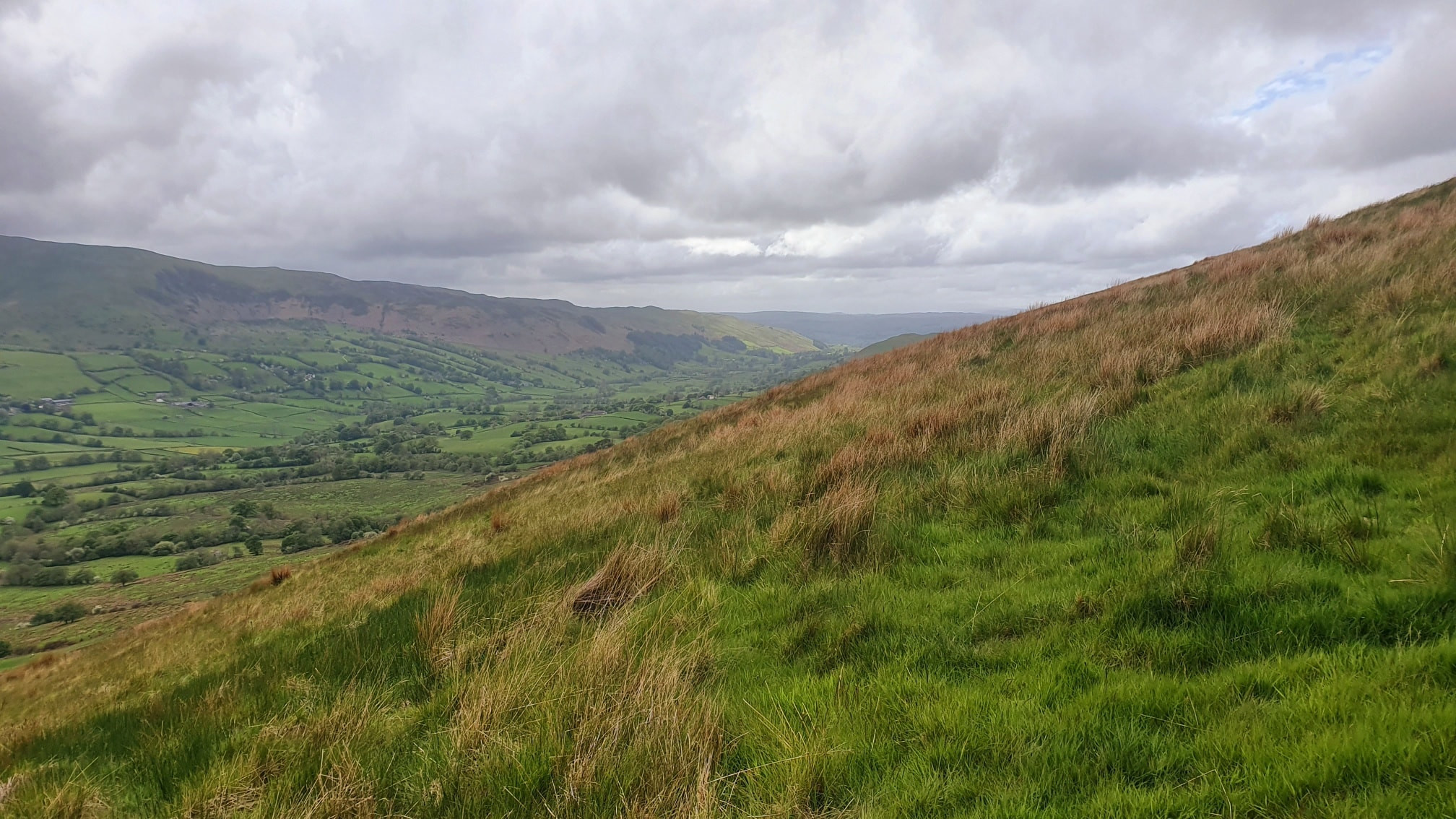 This weekends walk 6 pic 7