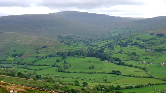 This weekends walk 6 pic 8