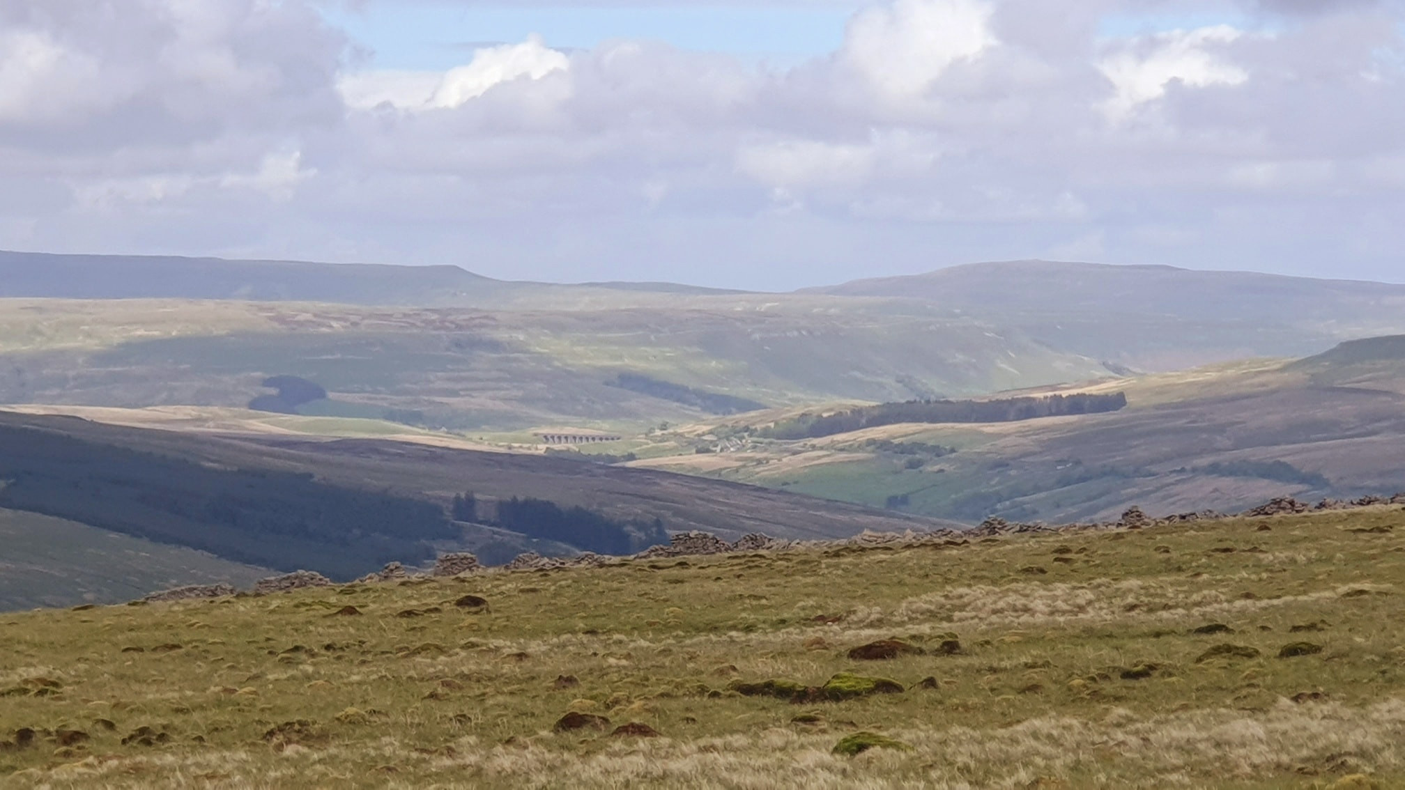 This weekends walk 6 pic 9