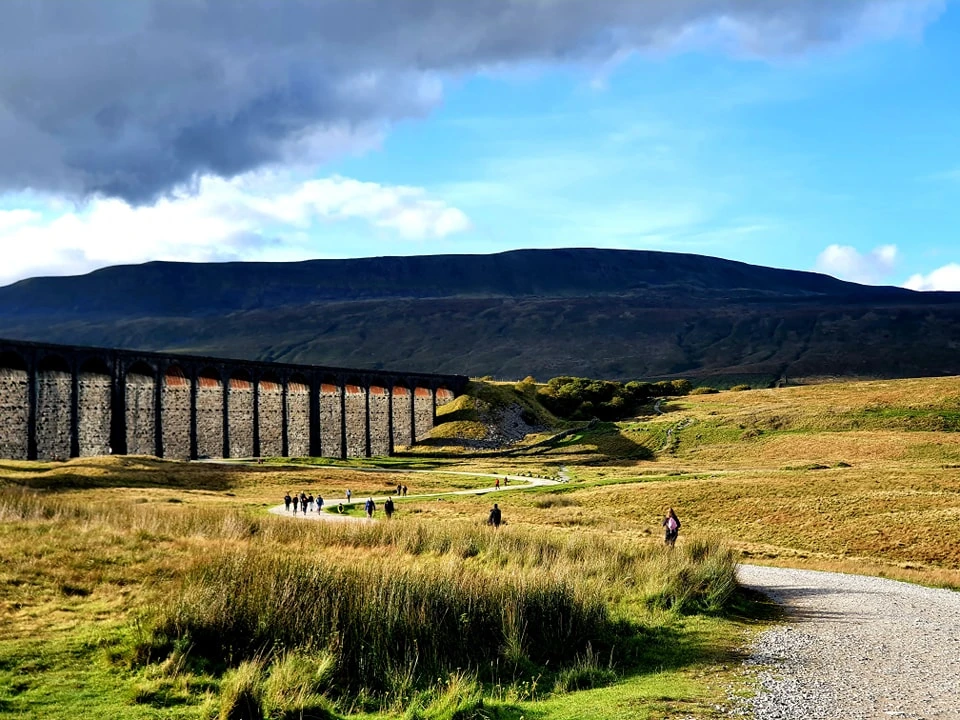 This Weekend's Walk #18 22.10.23