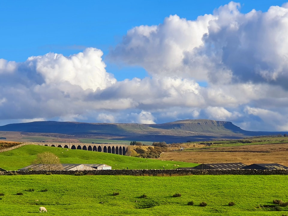 This weekends walk 18 pic 3