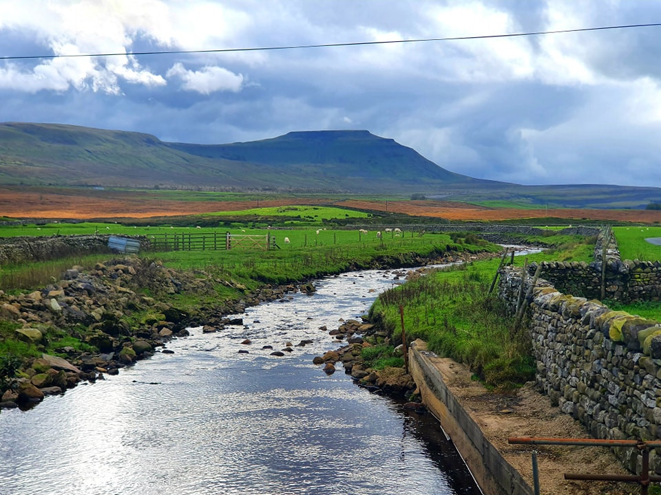 This weekends walk 18 pic 4