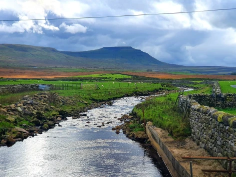 This weekends walk 18 pic 4