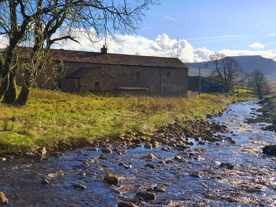 This weekends walk 18 pic 5