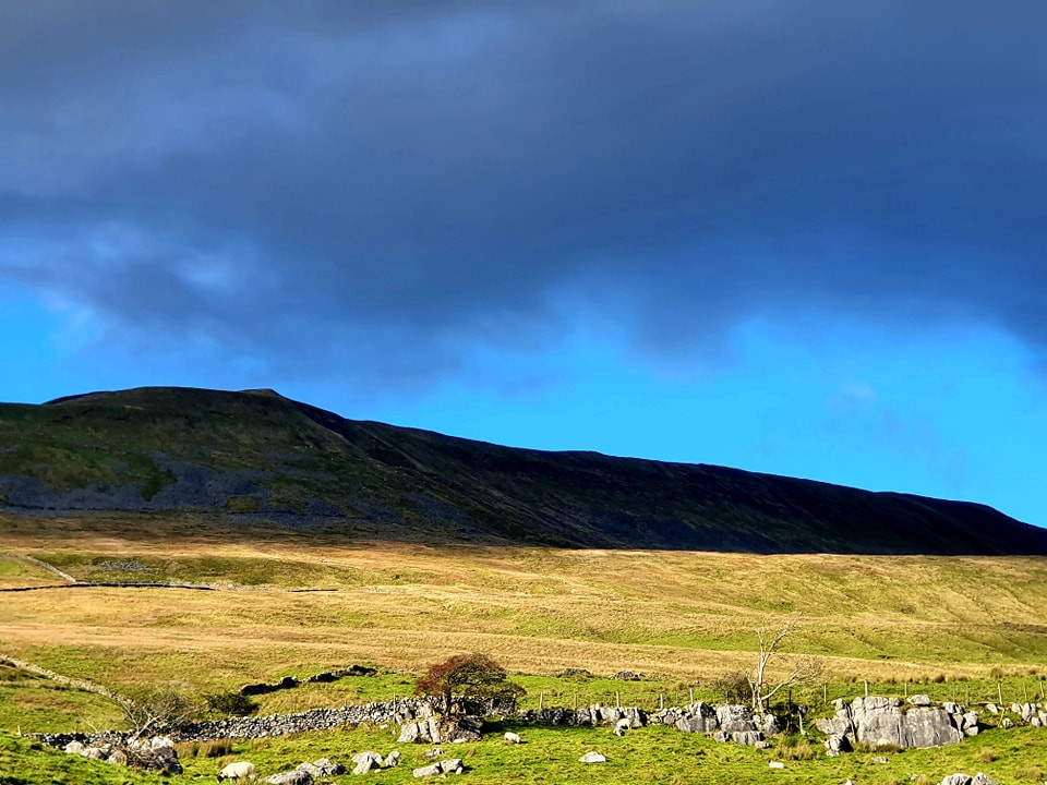 This weekends walk 18 pic 7