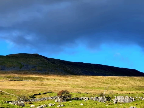 This weekends walk 18 pic 7