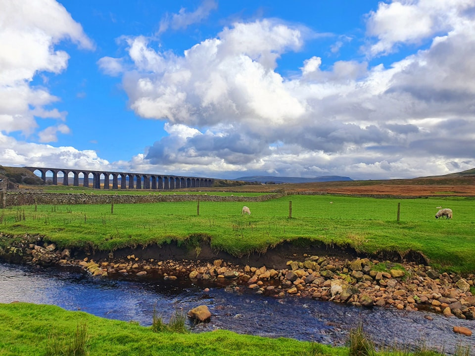 This weekends walk 18 pic 8