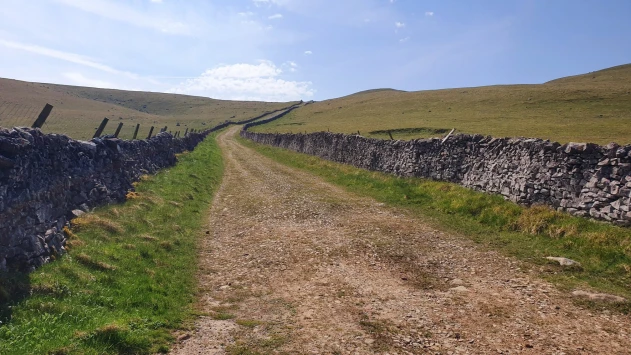 This weekends walk 5 pic 10