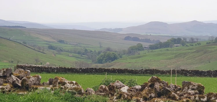 This weekends walk 5 pic 11