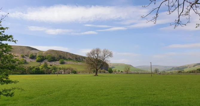 This weekends walk 5 pic 2