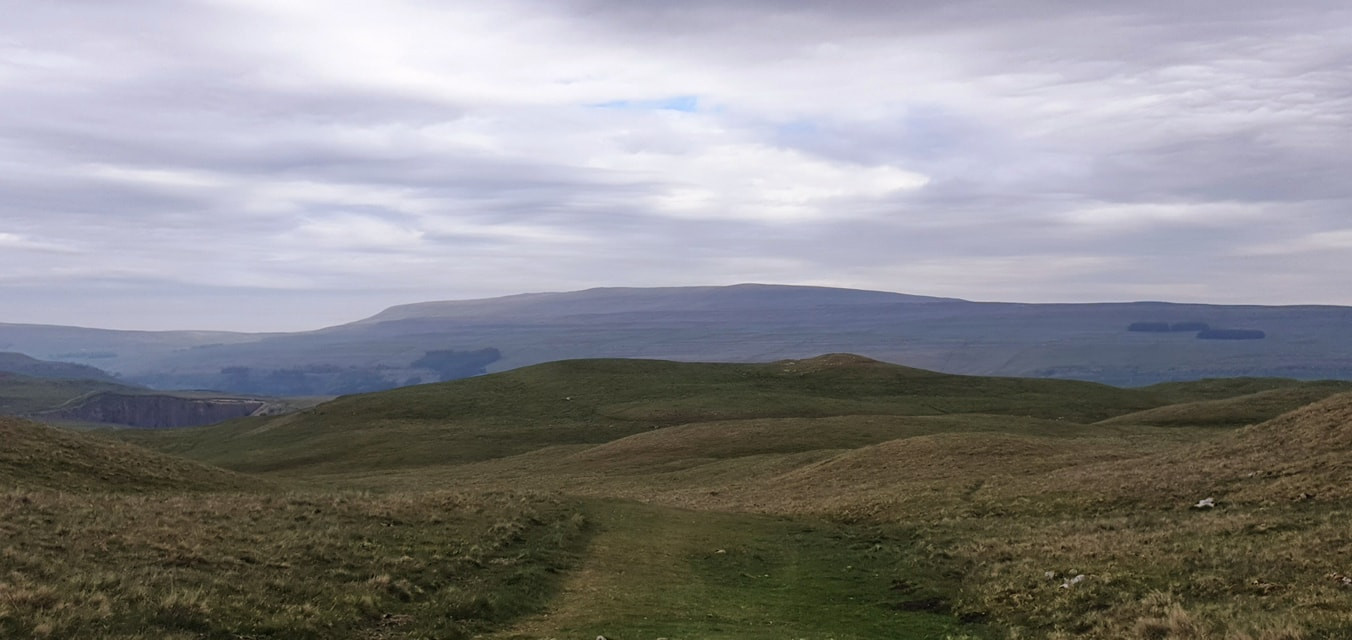 This weekends walk 5 pic 3