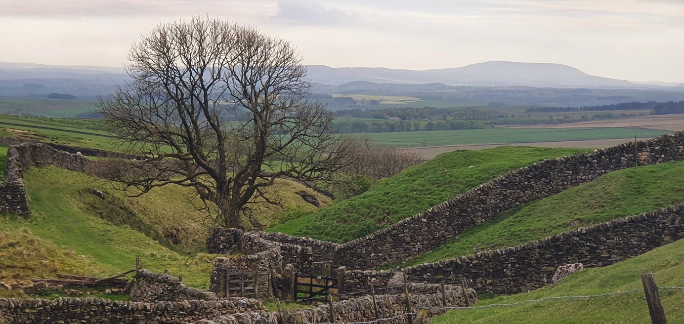 This weekends walk 5 pic 5