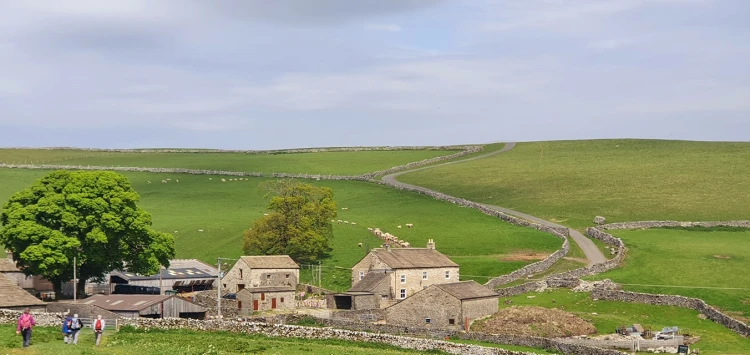 This weekends walk 5 pic 9