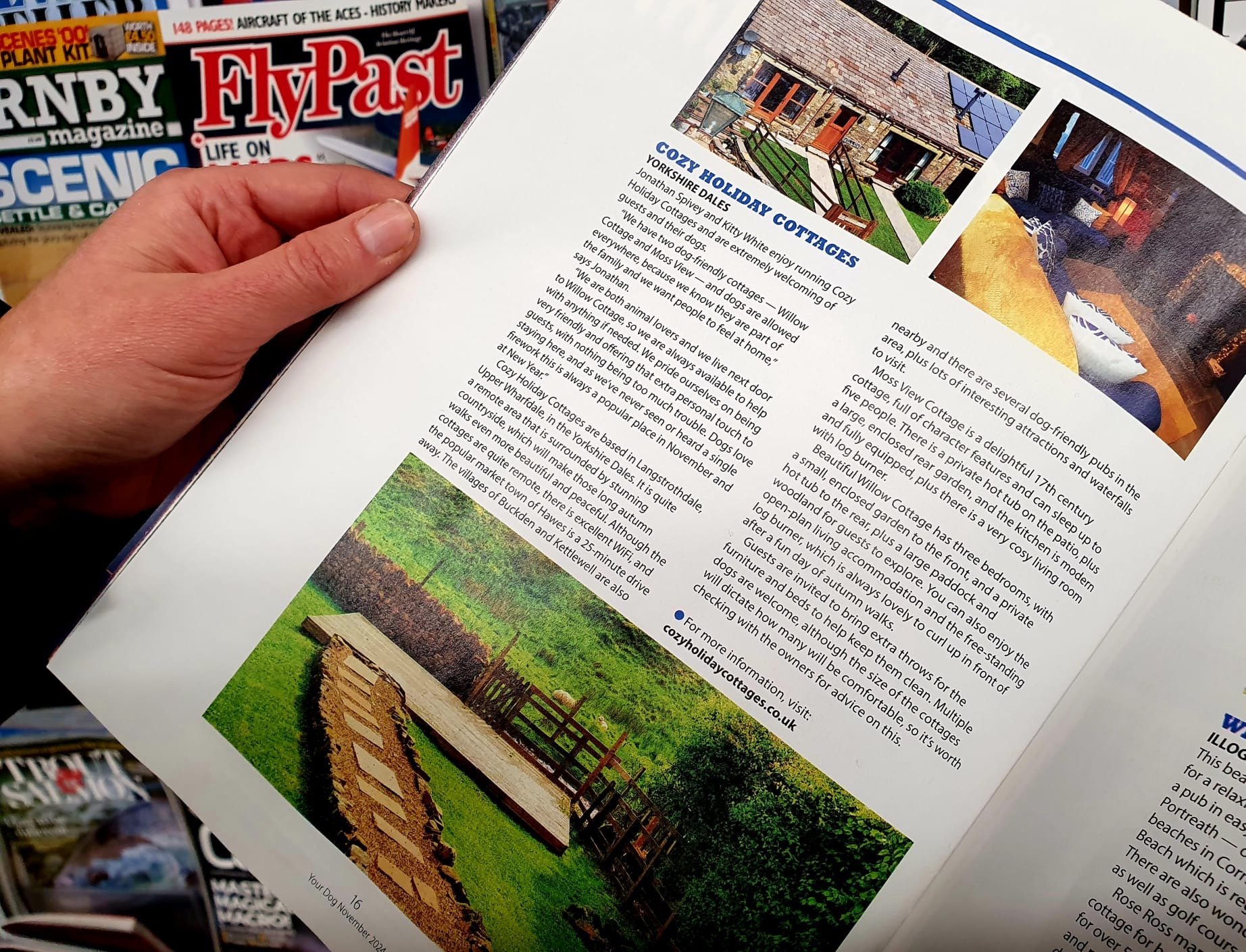 48882f58 13b0 44d5 841f 54158bdf76a2