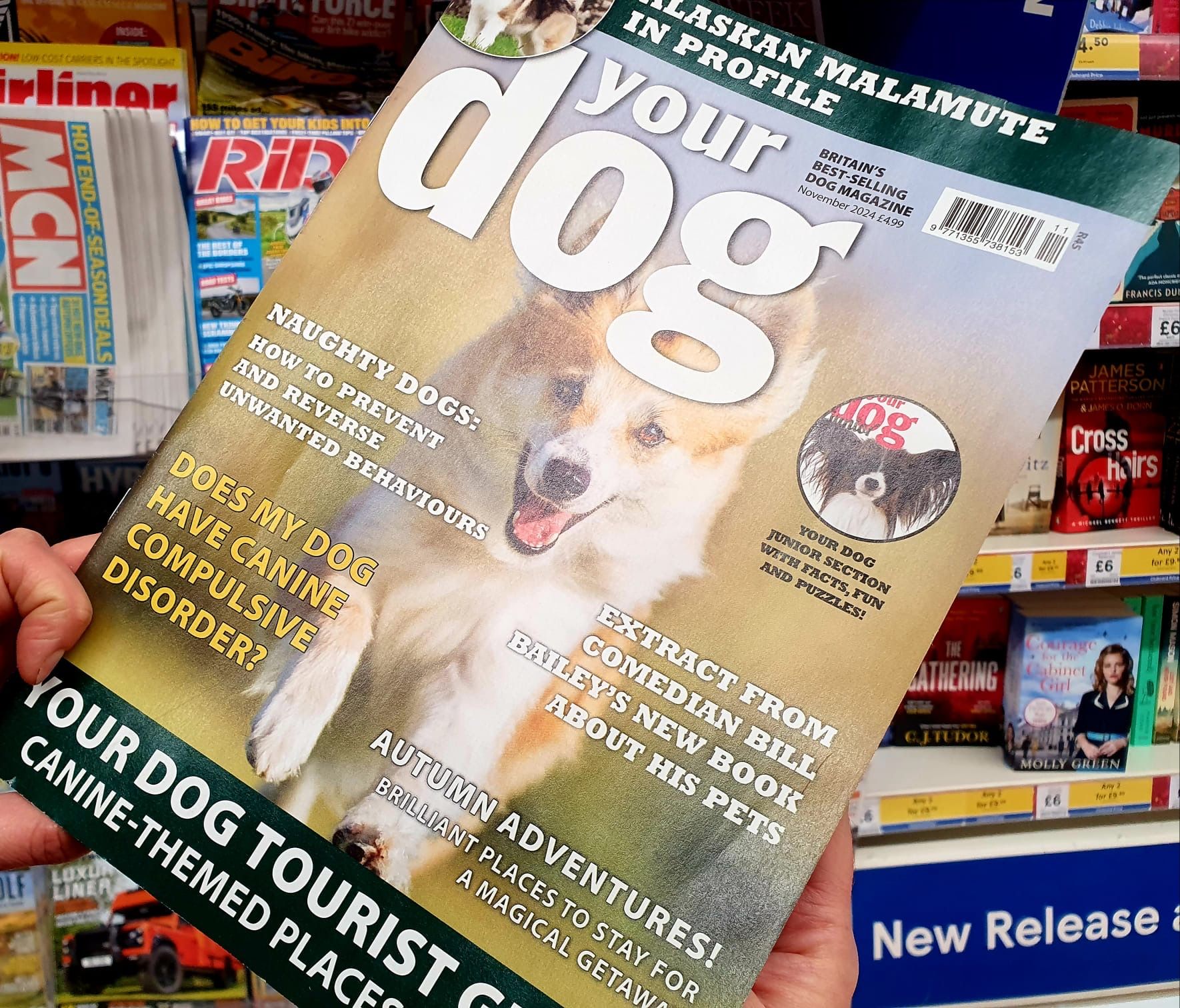 Your Dog Article November 2024