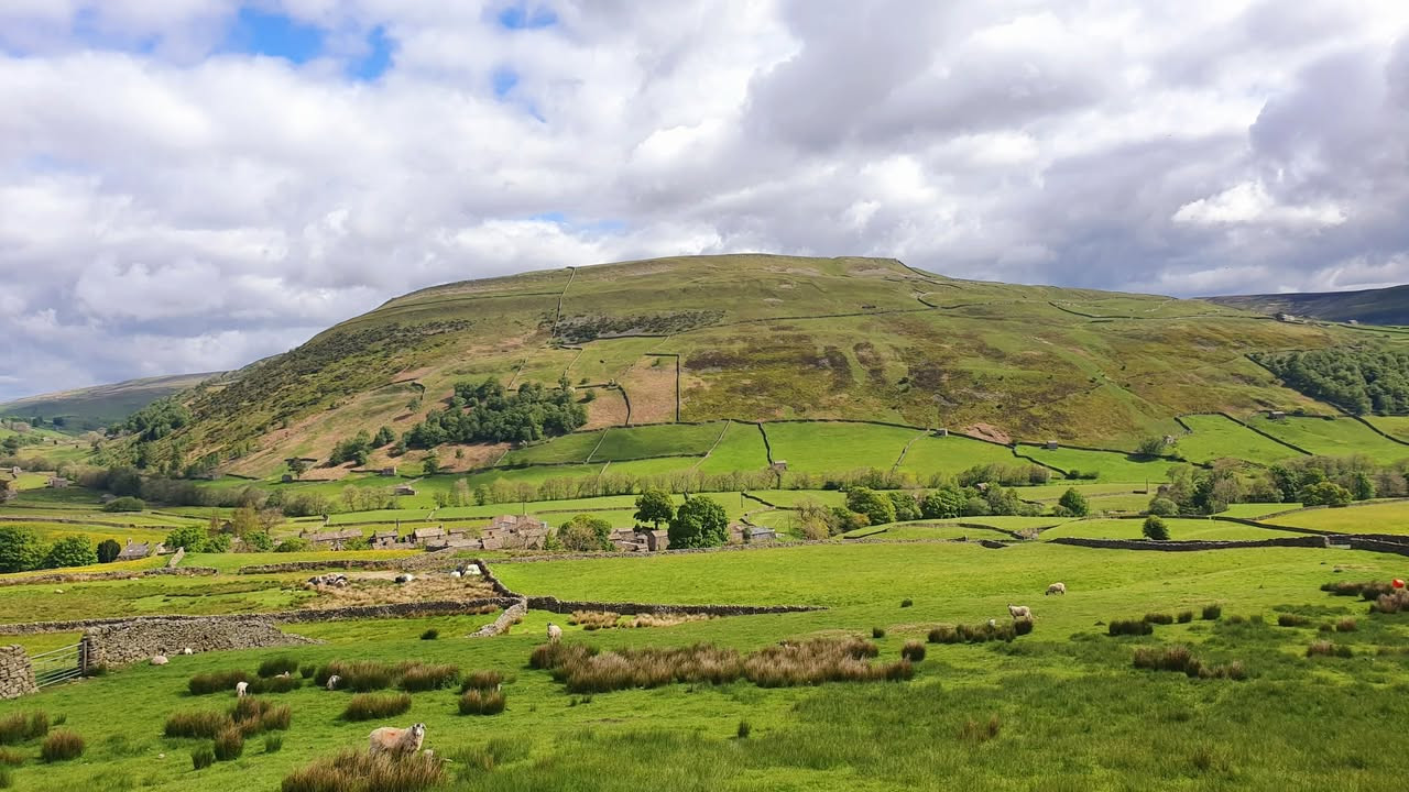 This weekends walk 7 pic 1