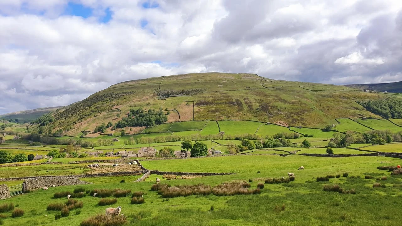 This Weekend's Walk #7 28.05.22