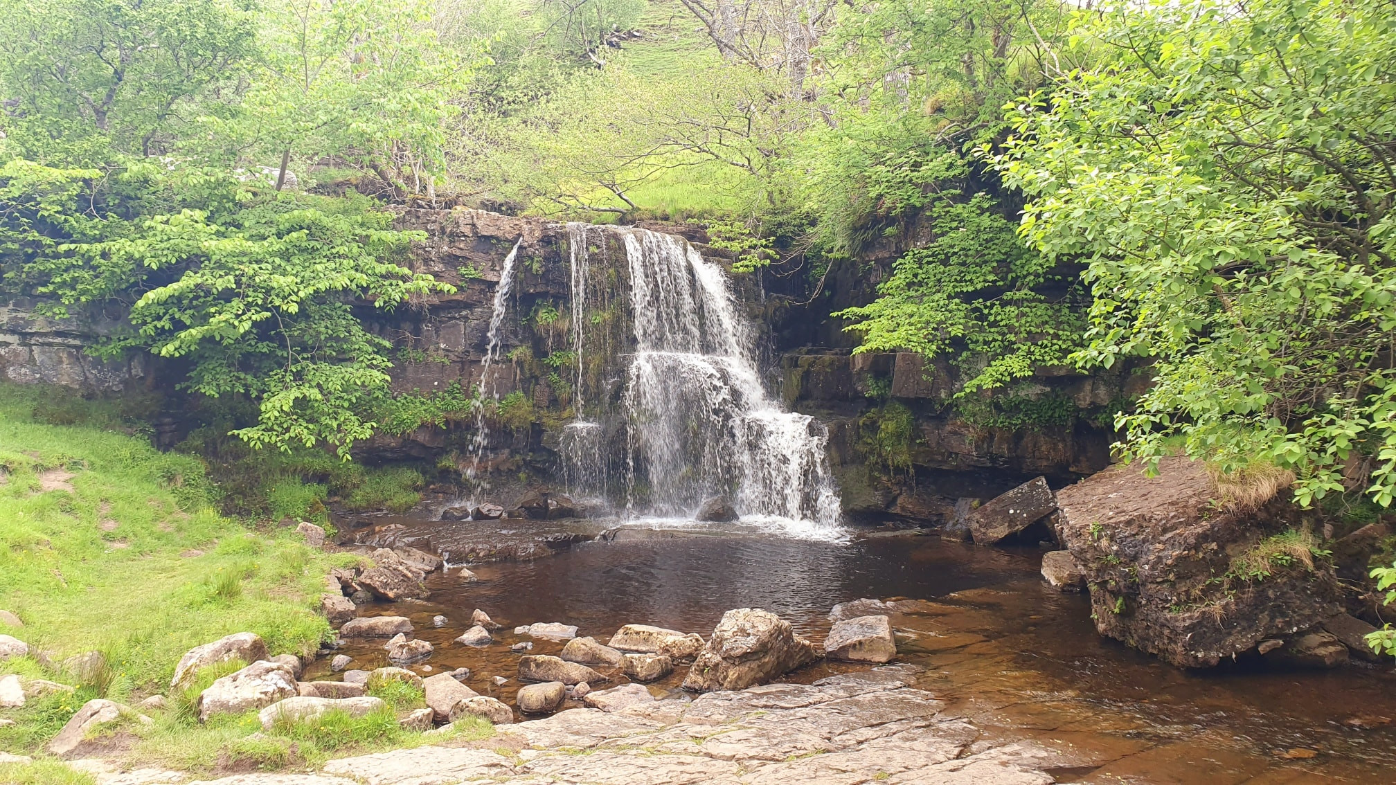 This weekends walk 7 pic 12