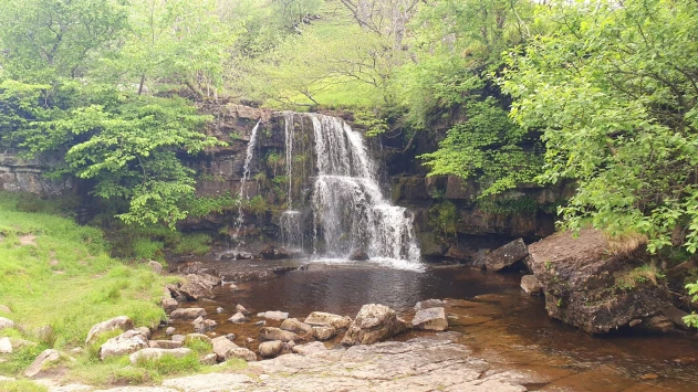 This weekends walk 7 pic 12